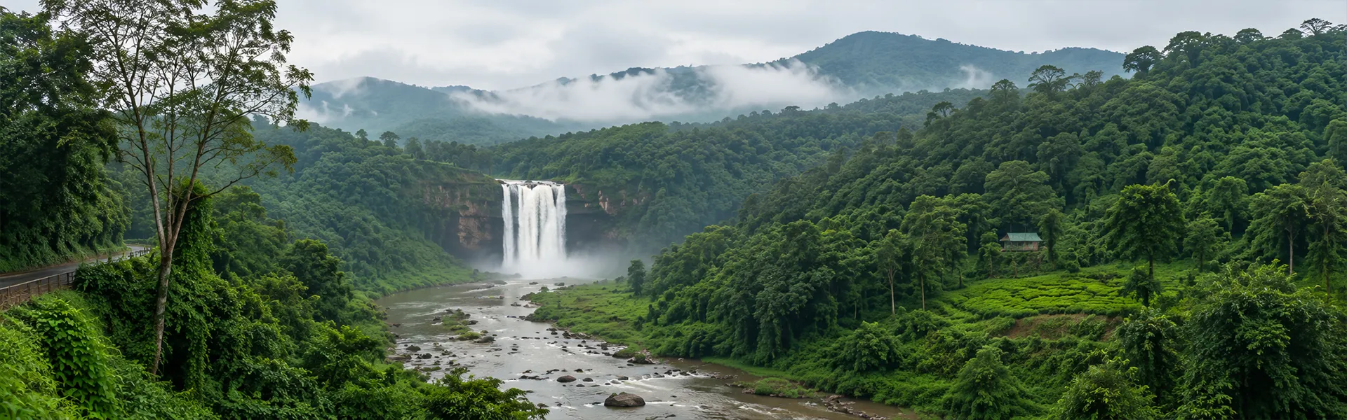thekkady