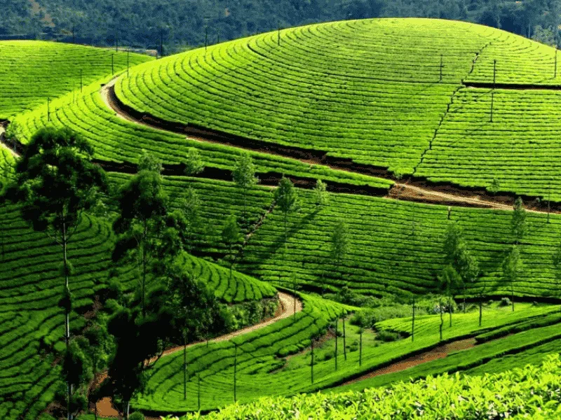 travel news